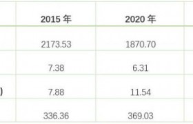 净零碳城市丨武汉：2022年实现碳达峰，为何能领先全国？