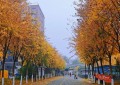 北京哪租房子便宜（北京东城区租房子最便宜的地方）