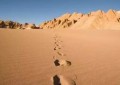 阿塔卡马沙漠成为世界干极的原因（“旱极”阿塔卡马沙漠为何还生活着100万人）