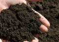 土壤改良的方法有哪些（硫酸亚铁改良土壤的使用方法）