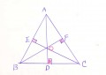 三角形的重心是什么（三角形重心的性质及证明）