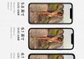 iphone屏幕尺寸大全（iphone所有型号屏幕尺寸）