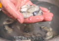 海蛎子怎么做（干海蛎子最简单的做法）