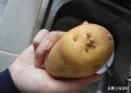 土豆能放冰箱存放吗（保存土豆的方法）