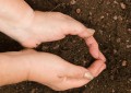 改良酸性土壤用什么碱（常用改良酸性土壤的碱介绍）