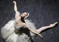 芭蕾舞的起源是什么（揭秘芭蕾文化的起源与发展）