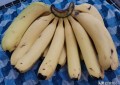 香蕉的保存方法（香蕉怎么储存放的时间长）