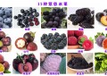 皮是紫色的水果有哪些（盘点日常生活中常见的15种紫色水果）