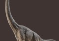 食草恐龙有哪些（侏罗纪世界全13种植食恐龙介绍）