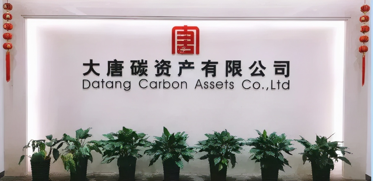 华能碳资产经营有限公司怎么样（五大电力碳资产管理公司揭秘）