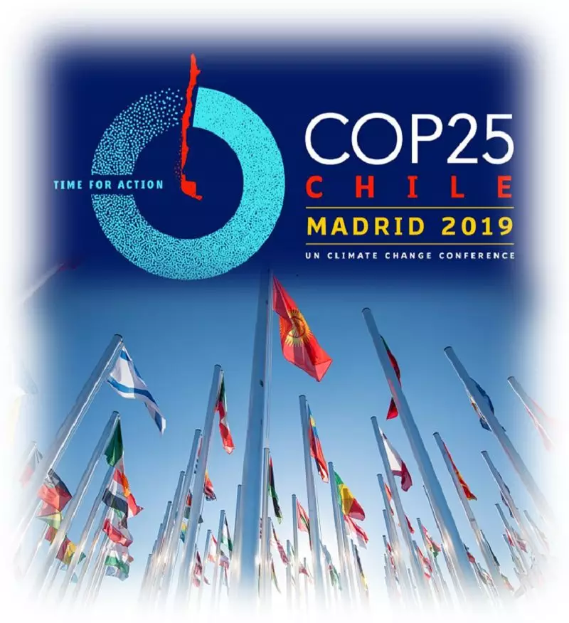 COP25指什么（COP25专题总结）