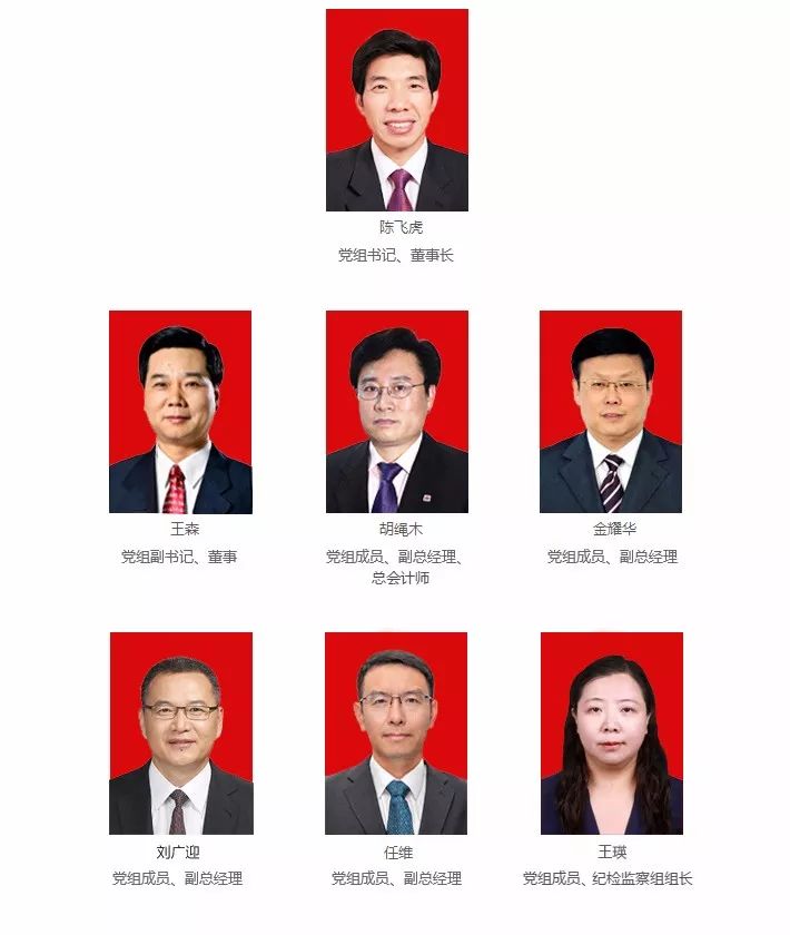 金耀华任大唐集团党组成员（集团总经理候选人名单）