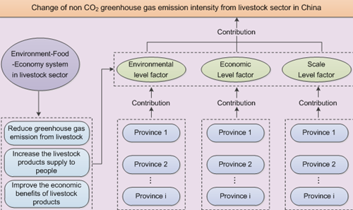 畜牧业碳排放的主要来源（畜牧业温室气体排放占比）