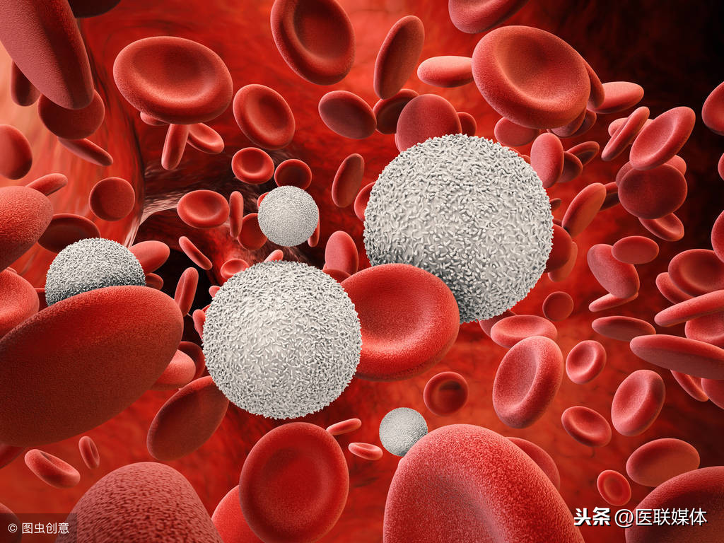 生理学血液系统- 血小板的生理功能_哔哩哔哩_bilibili