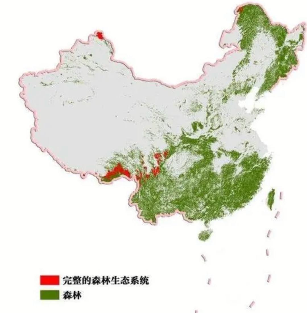 中国原始森林有哪些（中国原始森林分布图）