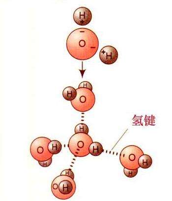 氢键是化学键吗（氢键的本质是什么）