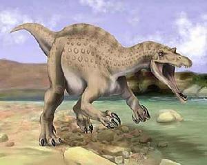 白垩纪时代有哪些恐龙（白垩纪恐龙种类图片大全名字）