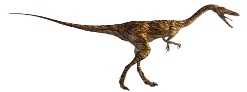 恐龙的进化史（恐龙的演化过程）