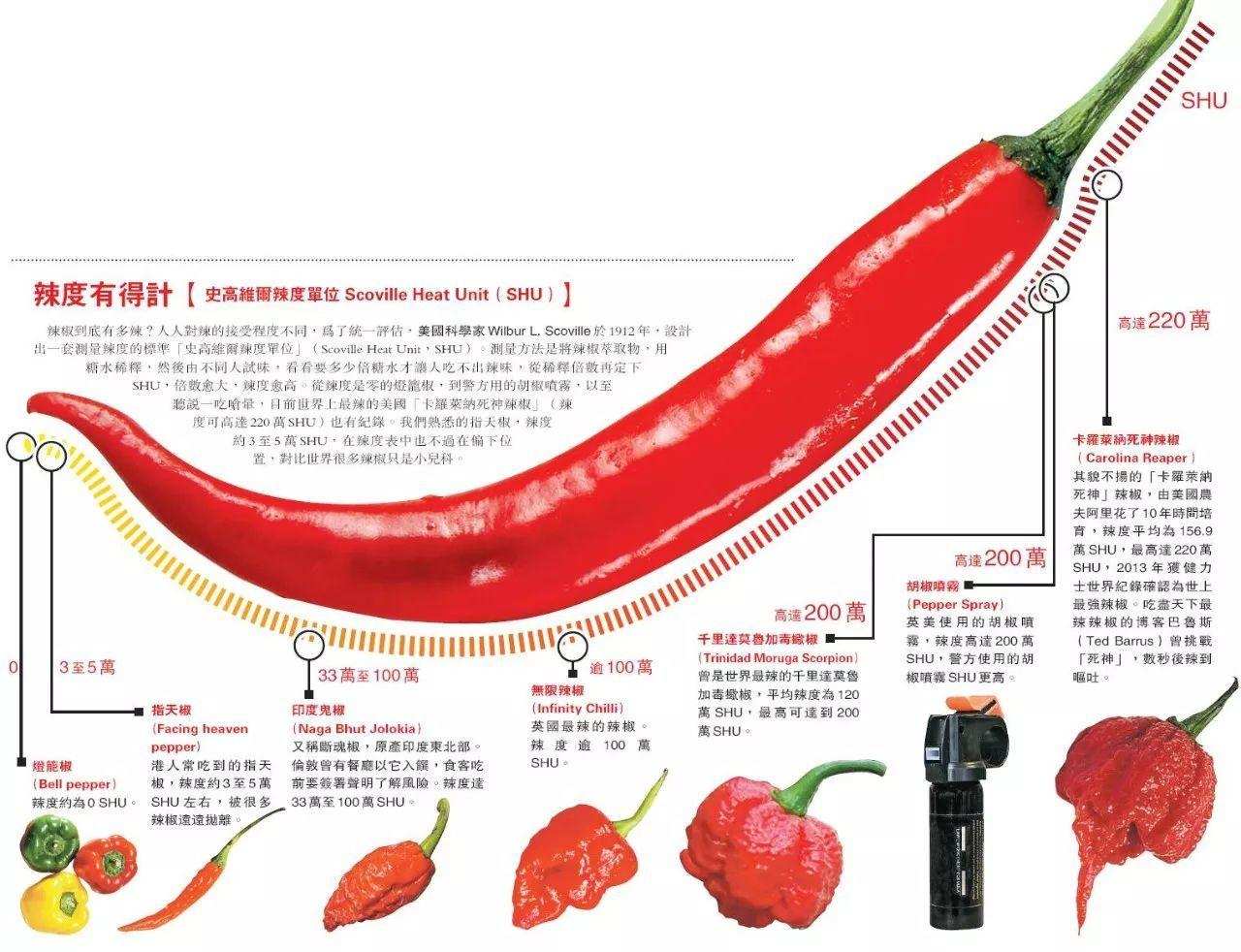 世界最辣的辣椒是什么（世界上最辣的第一名是什么）