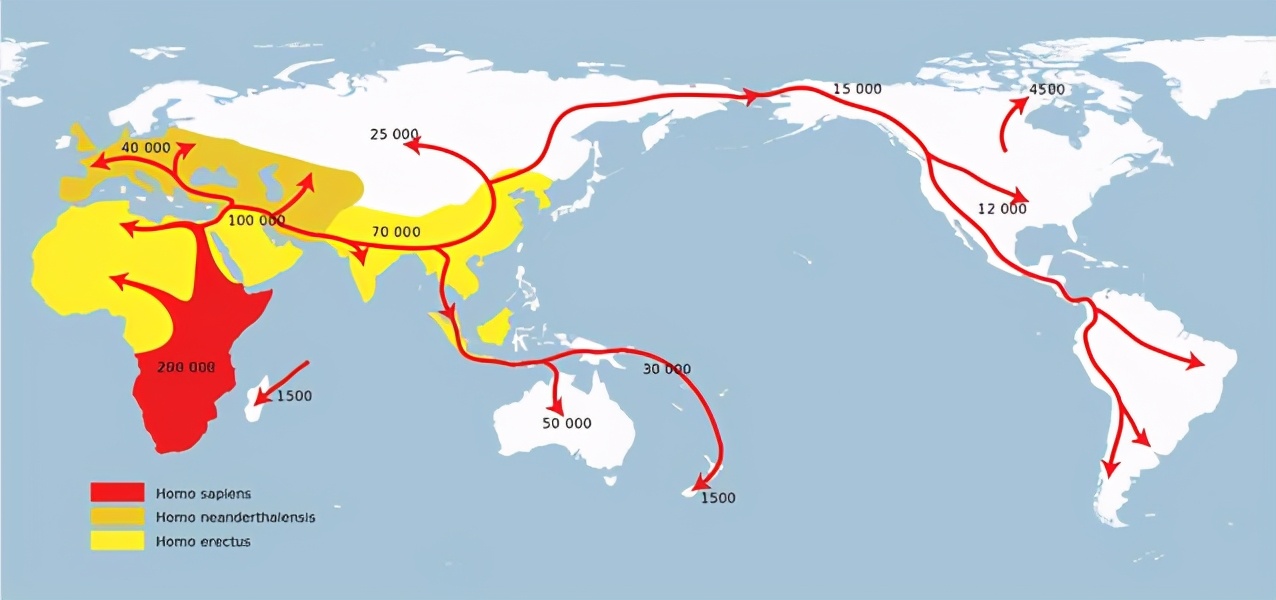 中国血型比例（中国人血型分布和人类迁徙的联系）