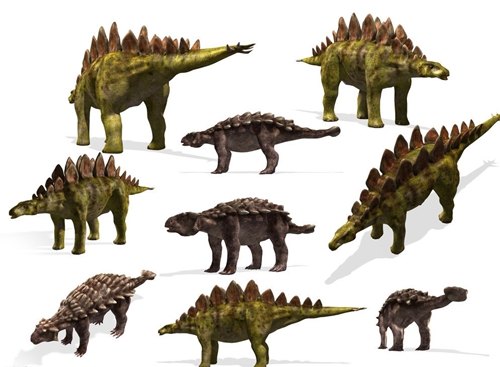 恐龙的进化史（恐龙的演化过程）