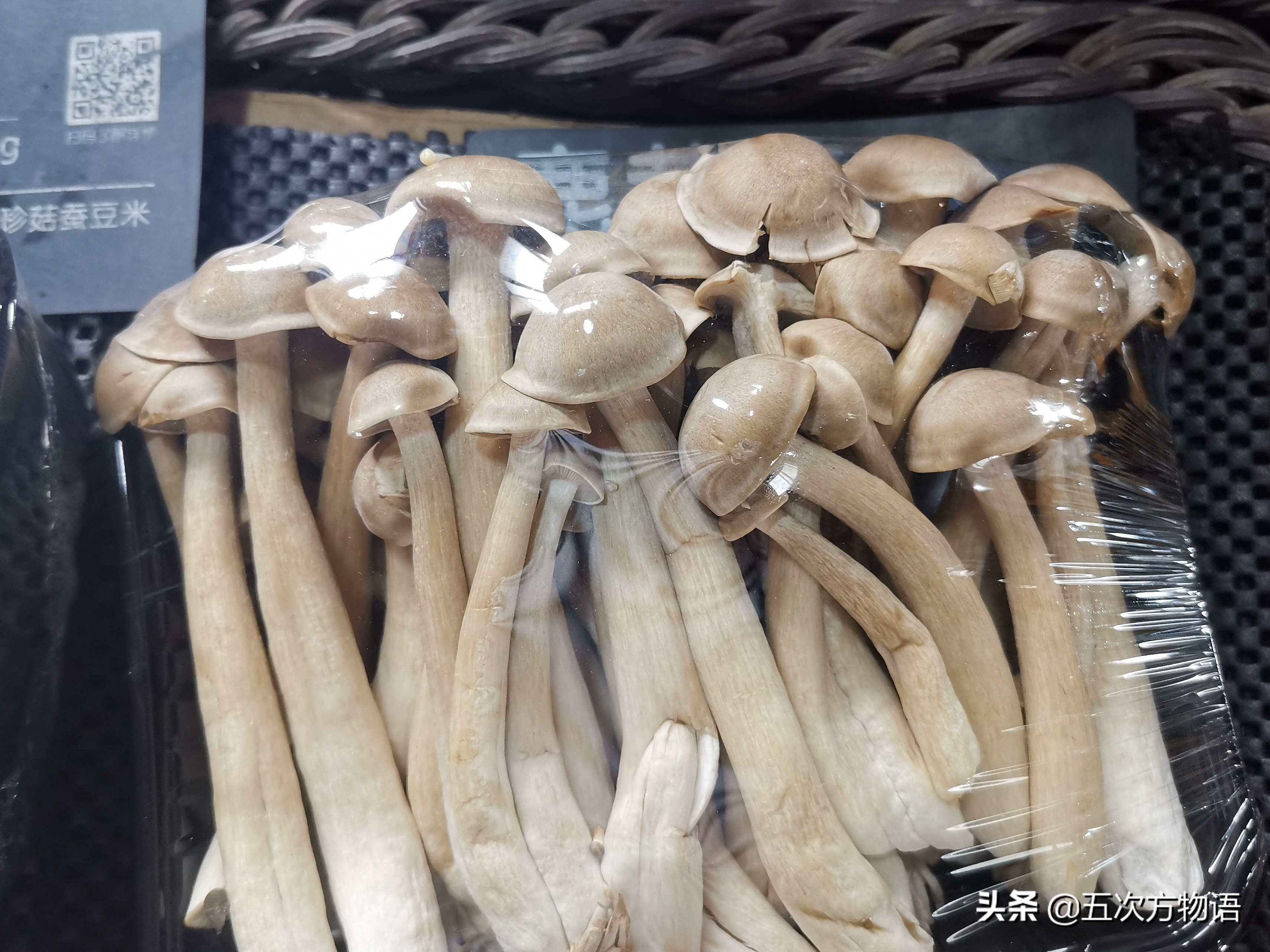 山珍菌菇拍摄|摄影|产品摄影|名揚mingyang - 原创作品 - 站酷 (ZCOOL)