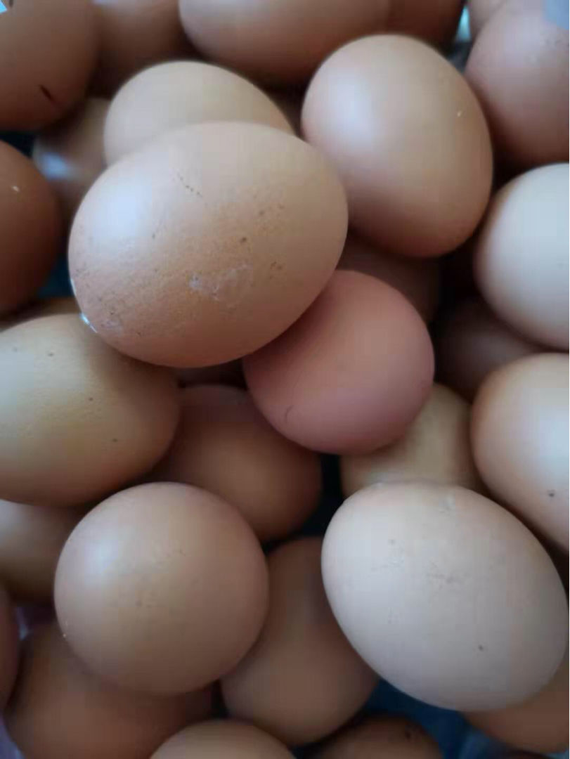 鸡蛋保质期是多久（鸡蛋的保存技巧）