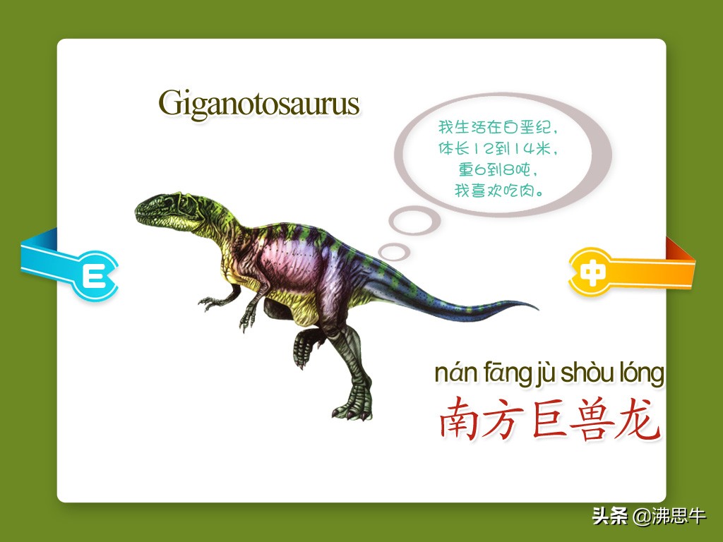 恐龙种类_恐龙品种分类名称大全恐龙品类图片大全