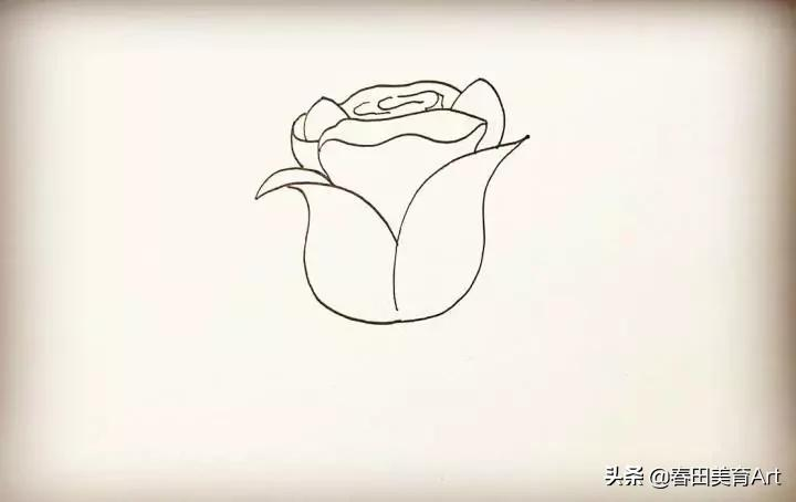 玫瑰花画法简笔画（简单一步一步画玫瑰花教程）