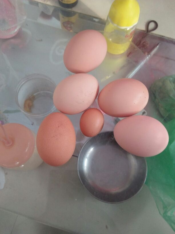 鸡蛋保质期是多久（鸡蛋的保存技巧）