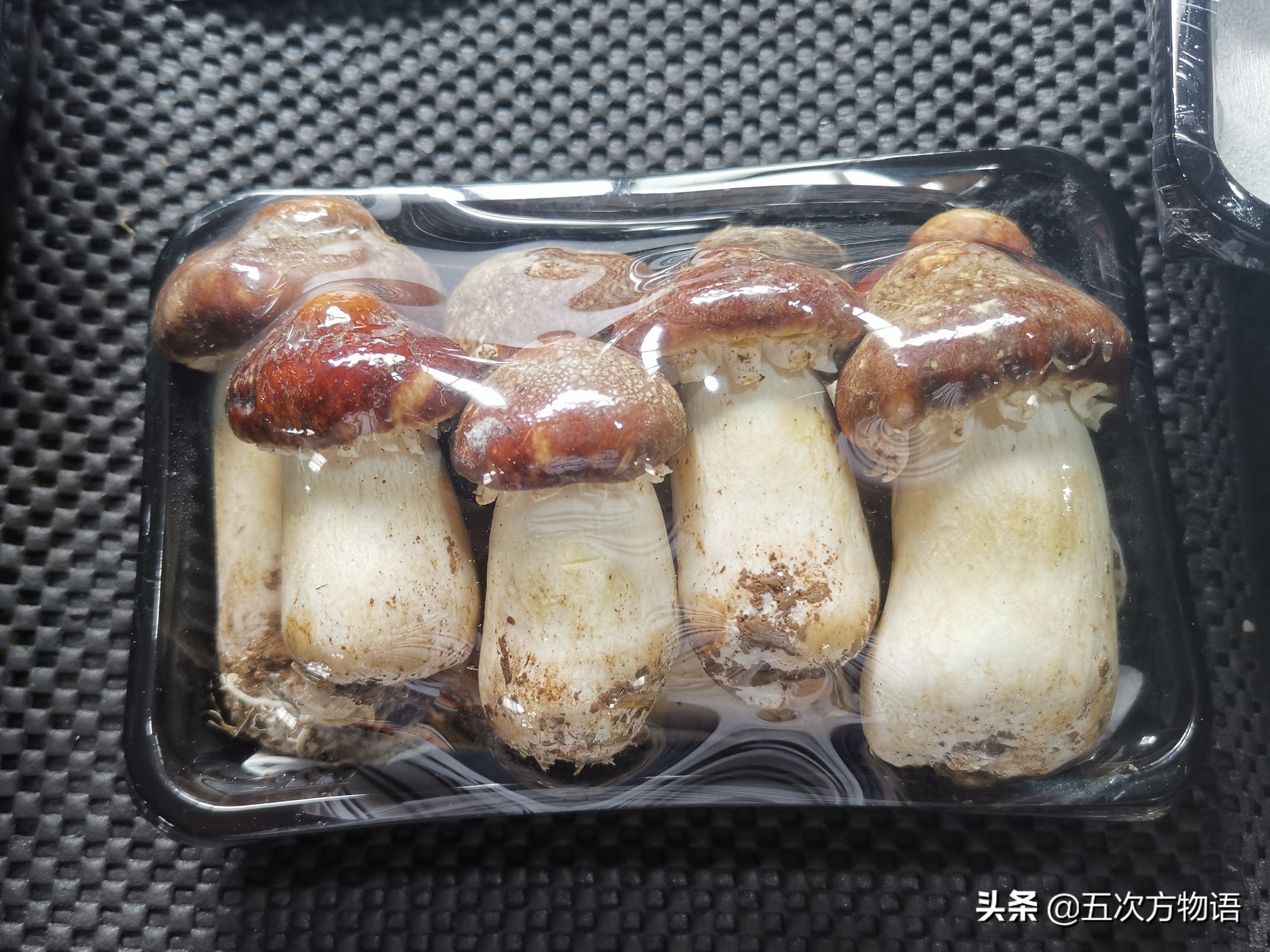 秋季森林毒蘑菇jpg图片免费下载_编号18ghdplev_图精灵
