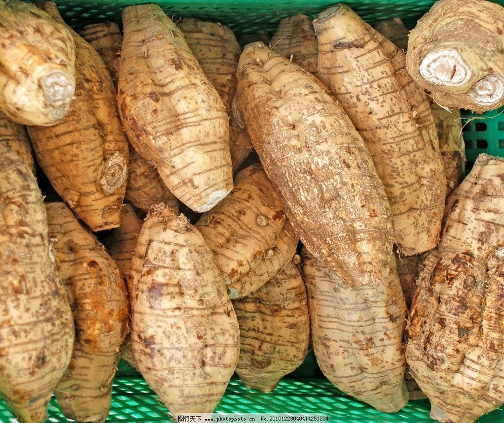 Jicama: Health benefits, nutrition, and diet tips