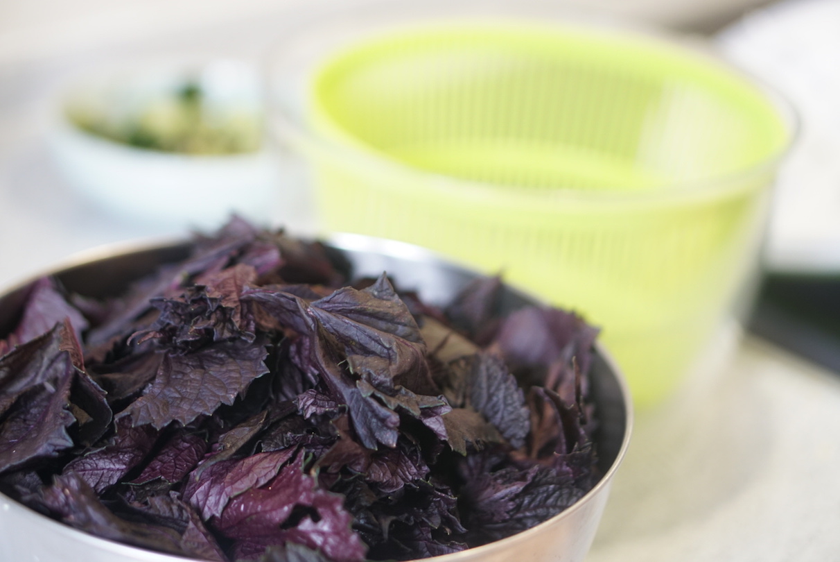 紫苏黄瓜家常做法（分享一款紫苏黄瓜片香辣爽口简单营养） – 碳资讯
