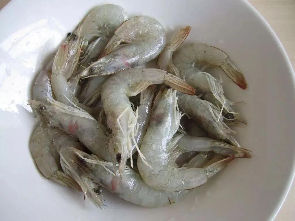 海虾种类大全（中国常见海虾盘点）