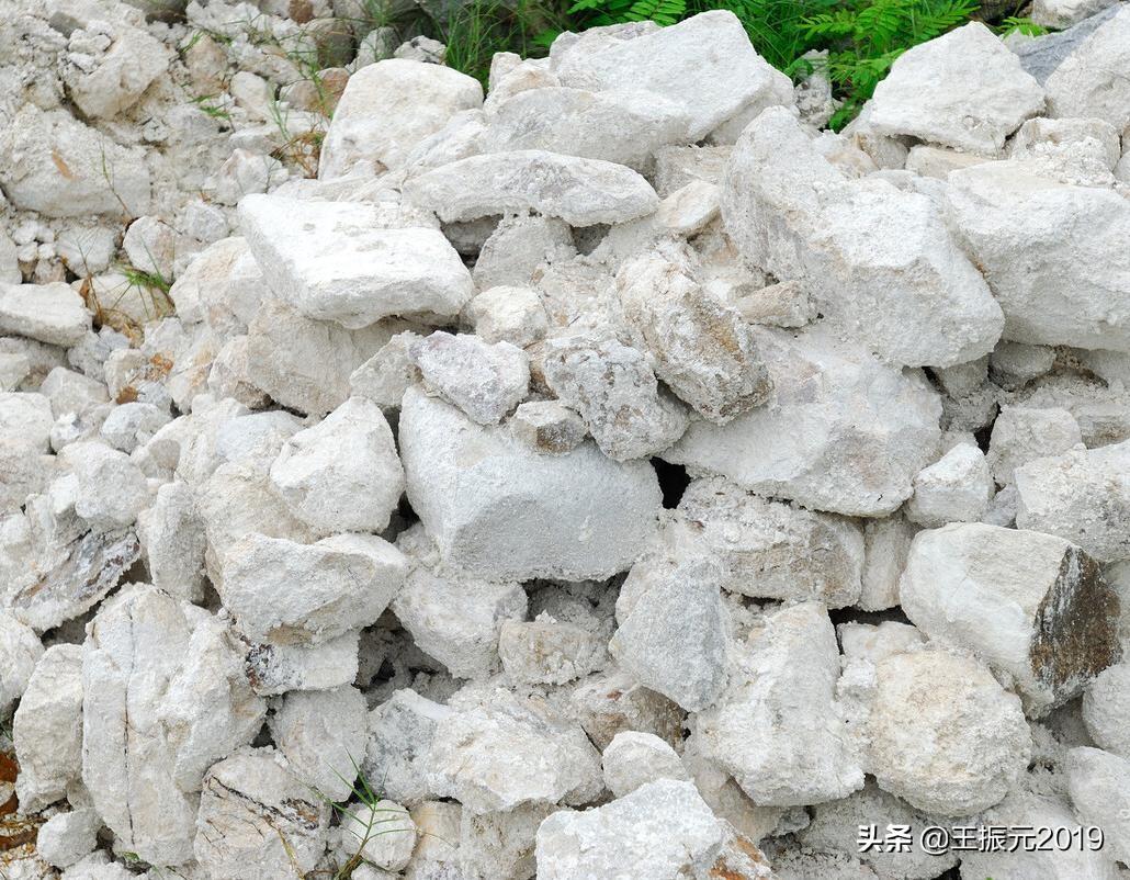 生石灰可以改良酸性土壤吗（为什么农田不能使用生石灰的原因）