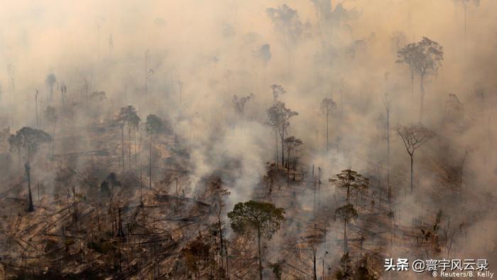 巴西热带雨林的作用是什么（亚马逊雨林对全世界的作用介绍）