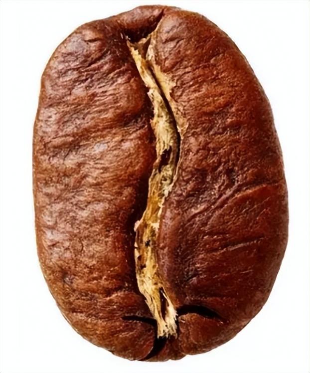 咖啡豆品种有哪些（盘点来自不同国家的六种咖啡豆）