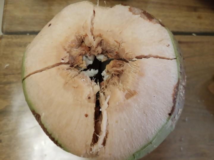 椰子喝完了椰肉怎么取出（这篇文章教你快速剥离椰子皮）