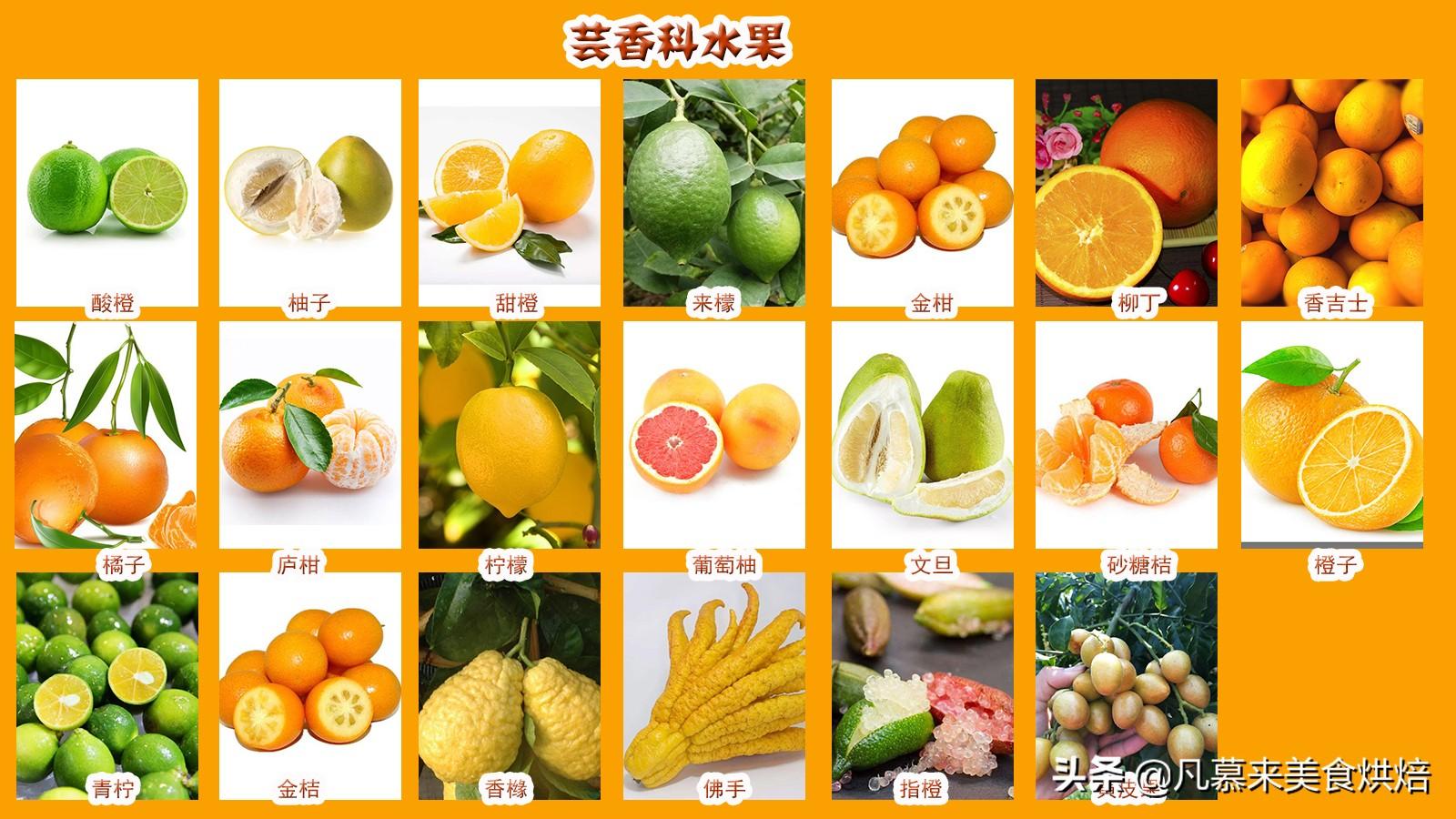 常见水果名称大全（42个科154种水果别说吃过你见过多少）