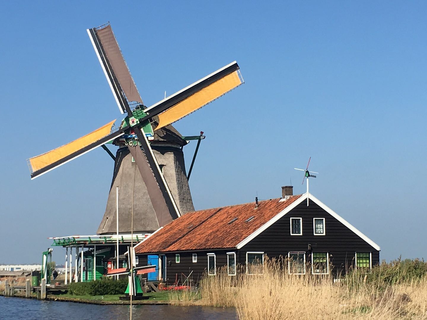 荷兰的风车主要用途是什么（神奇的风车世界你了解多少）