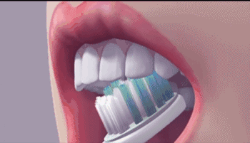正确刷牙的步骤（图文详解带你学习正确的刷牙方法）
