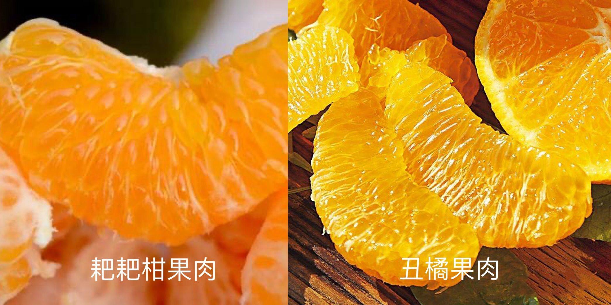 丑橘和粑粑柑的区别（很多人不懂其实差别很大）