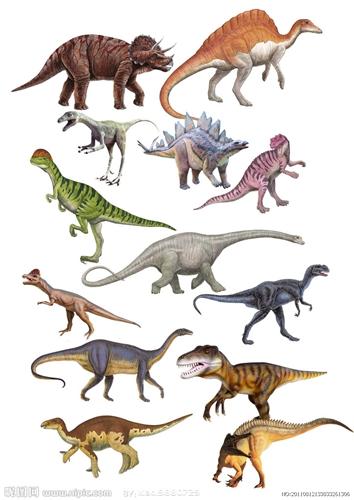 恐龙有哪些种类（恐龙种类名字图片介绍）