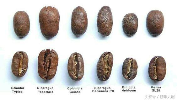 咖啡豆种类有哪些（11种最常见的咖啡豆特征介绍）