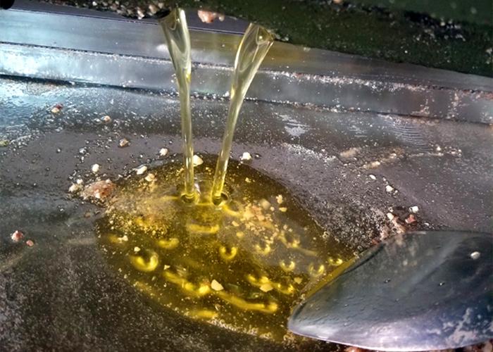 色拉油是什么油（盘点色拉油和调和油食用油的区别）