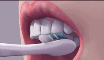 正确刷牙的步骤（图文详解带你学习正确的刷牙方法）