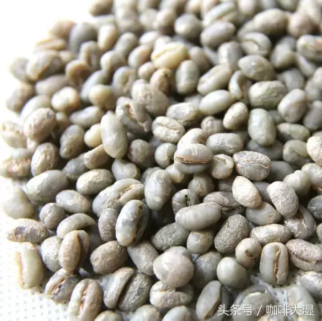 咖啡豆种类有哪些（11种最常见的咖啡豆特征介绍）