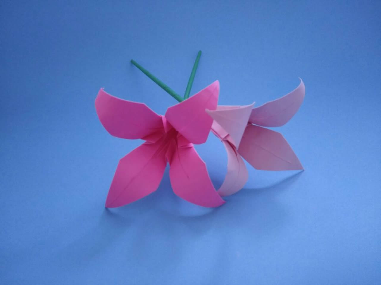 折花的方法简单又漂亮（一张纸折花朵简单易学会的教程）