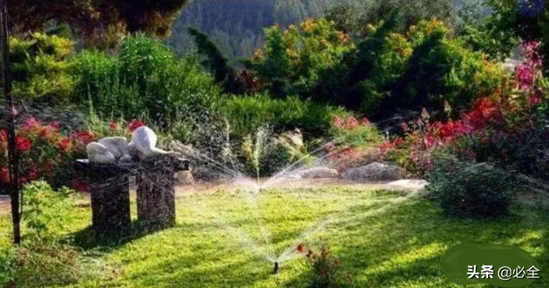 园林节水灌溉技术规范（园林常用的4种节水灌溉技术）