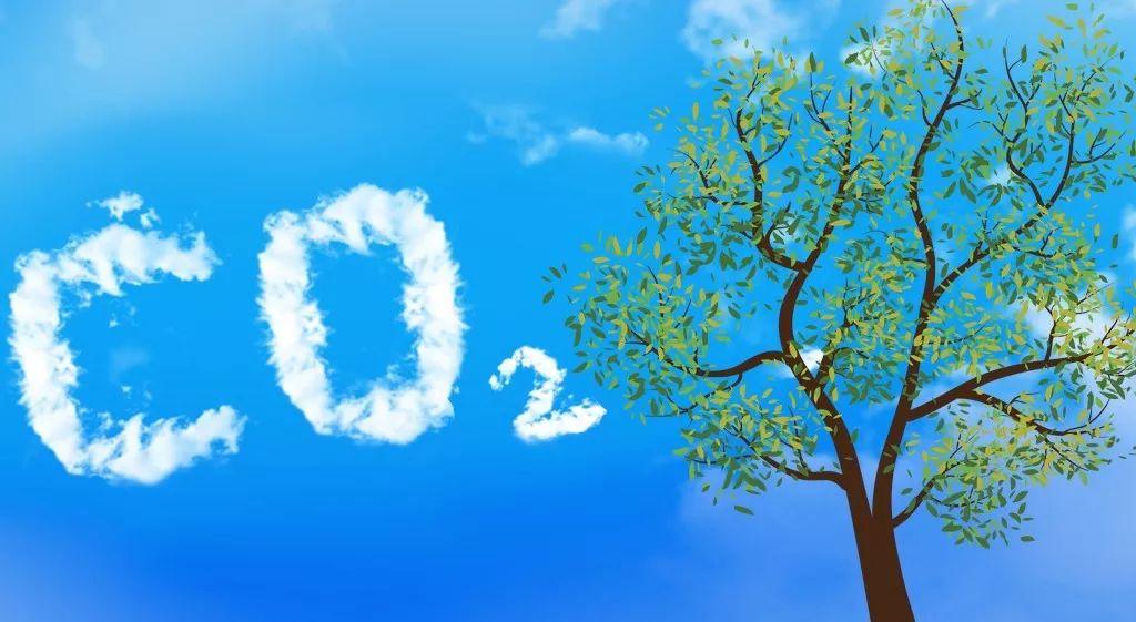 二氧化碳浓度高对人体的影响（空气二氧化碳含量高的后果）